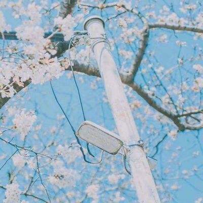 弹弹英雄手游下载