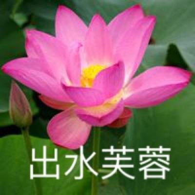 绝世唐门搜狗版本下载